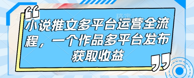 小说推文多平台运营全流程，一个作品多平台发布获取收益-财兔窝项目网