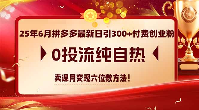25年6月拼多多最新日引300+付费创业粉，0投流纯自热 卖课月变现六位数方法-财兔窝项目网