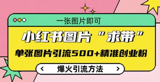 小红书图片‘求带’爆火引流法，单张图片引流500+精准创业粉【揭秘】-财兔窝项目网