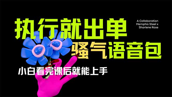 爆火全网的开车导航骚气语音包,只要执行就出单，小白看完课程就能实操…-财兔窝项目网