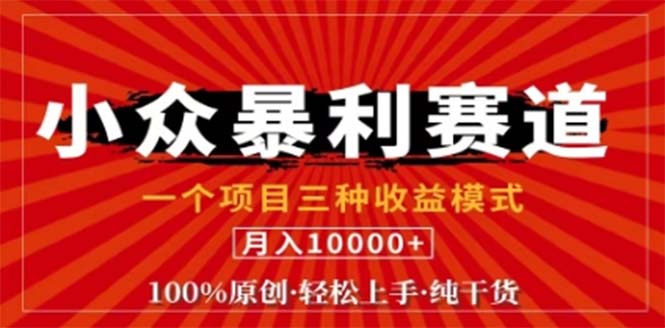 视频号最新爆火赛道，三种可收益模式，0粉新号条条原创条条热门 日入1000+-财兔窝项目网