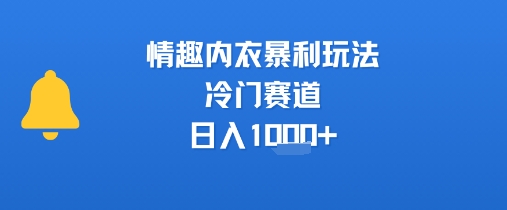 情趣内衣暴利玩法，冷门赛道，日入1k+-财兔窝项目网