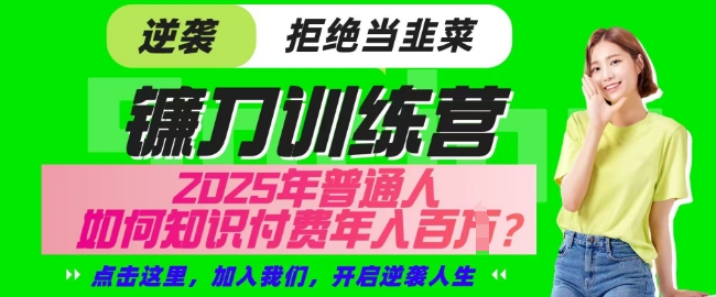 【网创项目终点站-镰刀训练营超级IP合伙人】25年普通人如何通过知识付费实现逆袭【揭秘】-财兔窝项目网