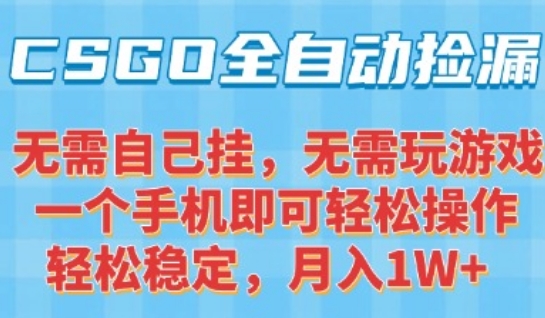 CSGO自动捡漏项目，最新独家玩法，一个手机可操作，新手小白轻松月入1W+，操作简单易上手【揭秘】-财兔窝项目网