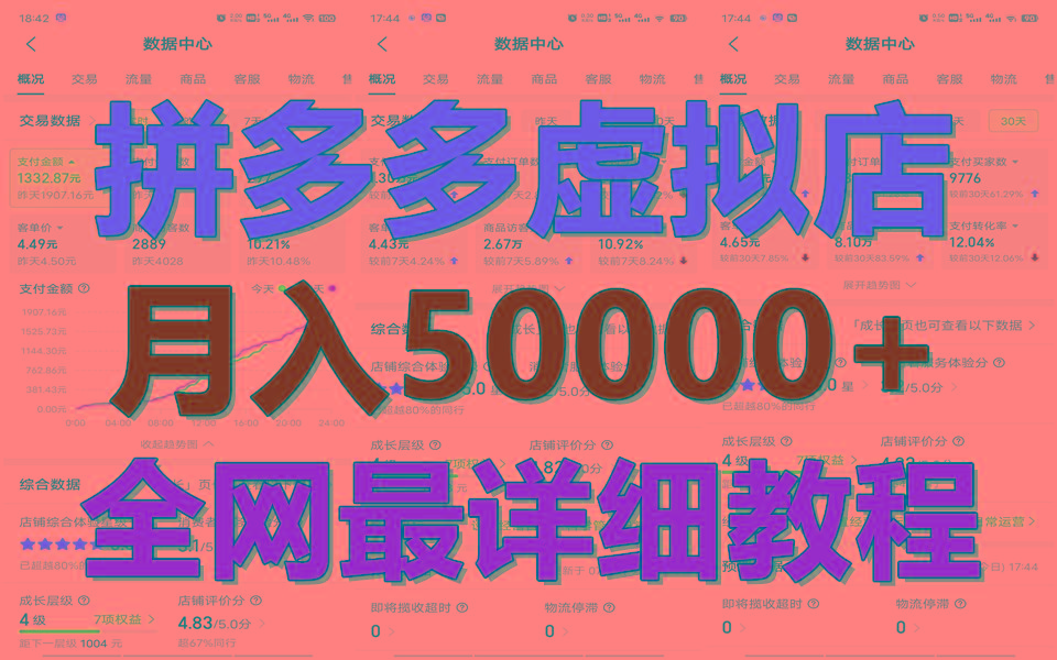 拼多多虚拟电商训练营月入50000+你也行，暴利稳定长久，副业首选-财兔窝项目网