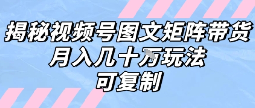 解密视频号图文矩阵带货，月入几个W的打法，可复制-财兔窝项目网
