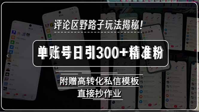 评论区野路子玩法揭秘！单账号日引300+精准粉，附赠高转化私信模板，直…-财兔窝项目网