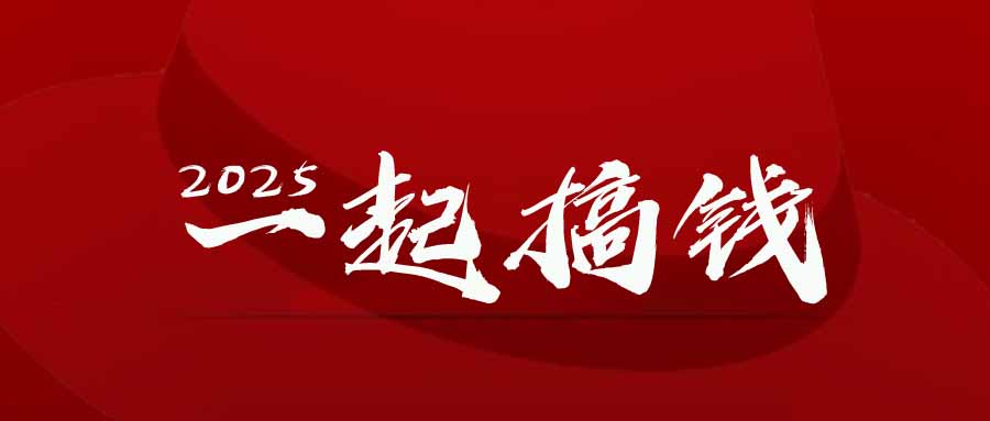 2025年，请“不择手段”去搞钱!-财兔窝项目网