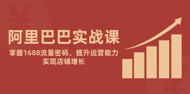 阿里巴巴实战课：掌握1688流量密码，提升运营能力，实现店铺增长-财兔窝项目网