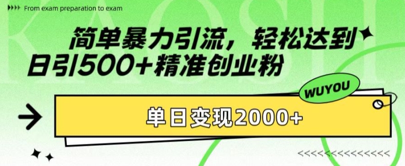 简单暴力引流，轻松达到日引500+精准创业粉，单日变现2k【揭秘】-财兔窝项目网