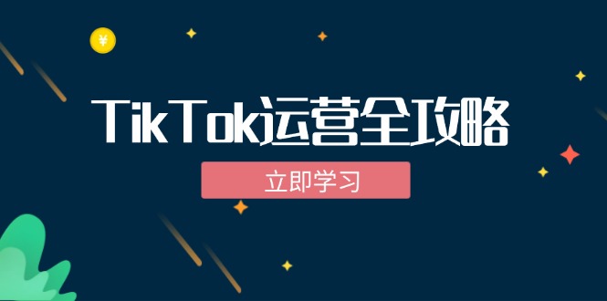 TikTok实战运营全攻略：从下载软件到变现，抖音海外版实操教程-财兔窝项目网
