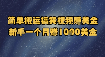 简单搬运搞笑视频挣美金，新手一个月入1k美金-财兔窝项目网
