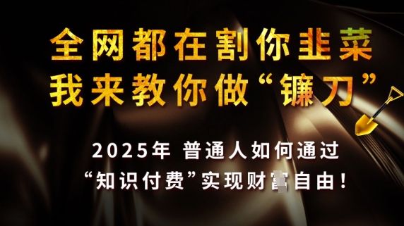 全网都在割你韭菜，我来教你做镰刀，2025普通人如何通过知识付费，实现财F自由【揭秘】-财兔窝项目网