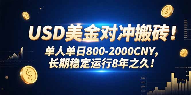 USD美金对冲搬砖!单人单日800-2000CNY，长期稳定运行8年之久!-财兔窝项目网